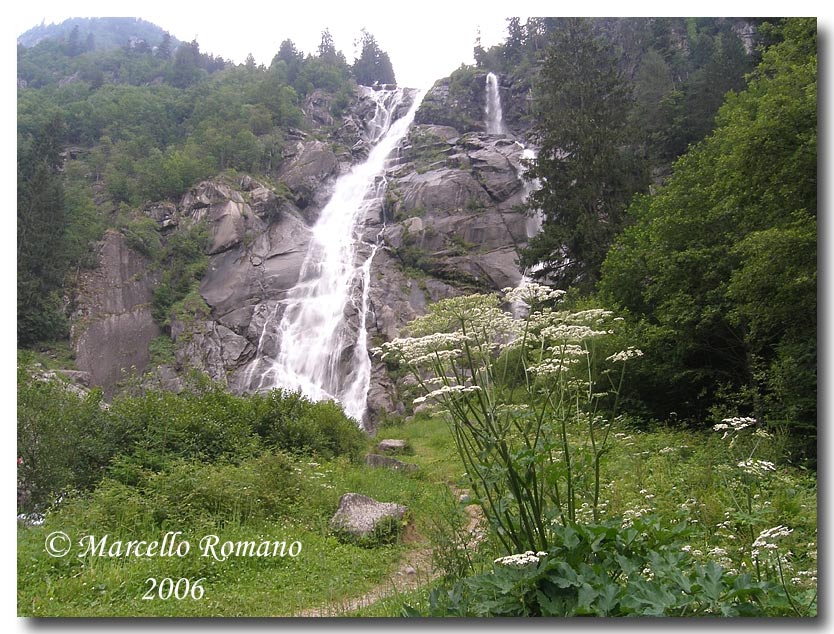 Insetti del Parco Adamello Brenta (TN): immagini e appunti